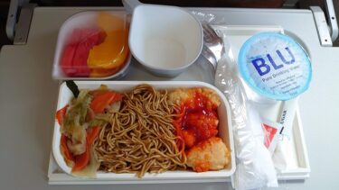 シルクエアー シェムリアップ＞シンガポール 搭乗記と機内食（カンボジア・アンコールワット旅行2020年1月 その12）