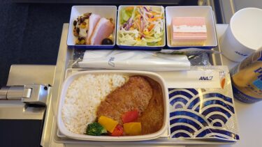 ANA NH861エコノミークラス  羽田⇒ソウル金浦便は古いB767-300ERでの運航 機内食やサービスなど（週末弾丸ソウル旅行2025年1月 その3）