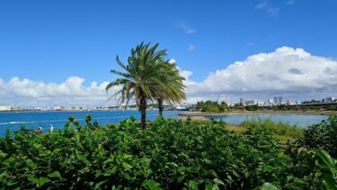 那覇 波上宮と波の上うみそら公園を散歩する（2025年11月）